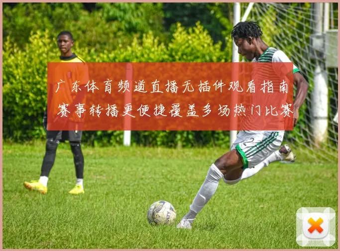 广东体育频道直播无插件观看指南 赛事转播更便捷覆盖多场热门比赛