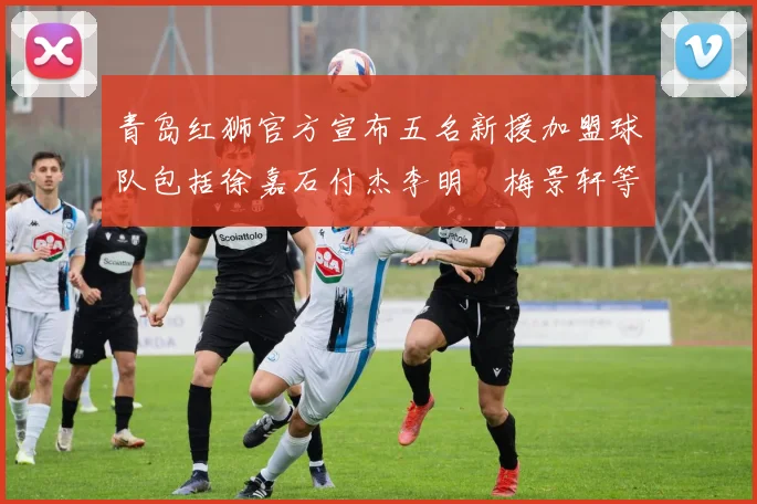 青岛红狮官方宣布五名新援加盟球队包括徐嘉石付杰李明璠梅景轩等球员